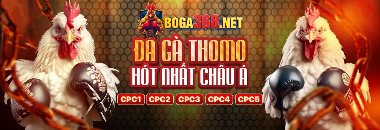 Hướng dẫn tham gia Chương Trình VIP BJ99